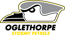 Stormy Logo
