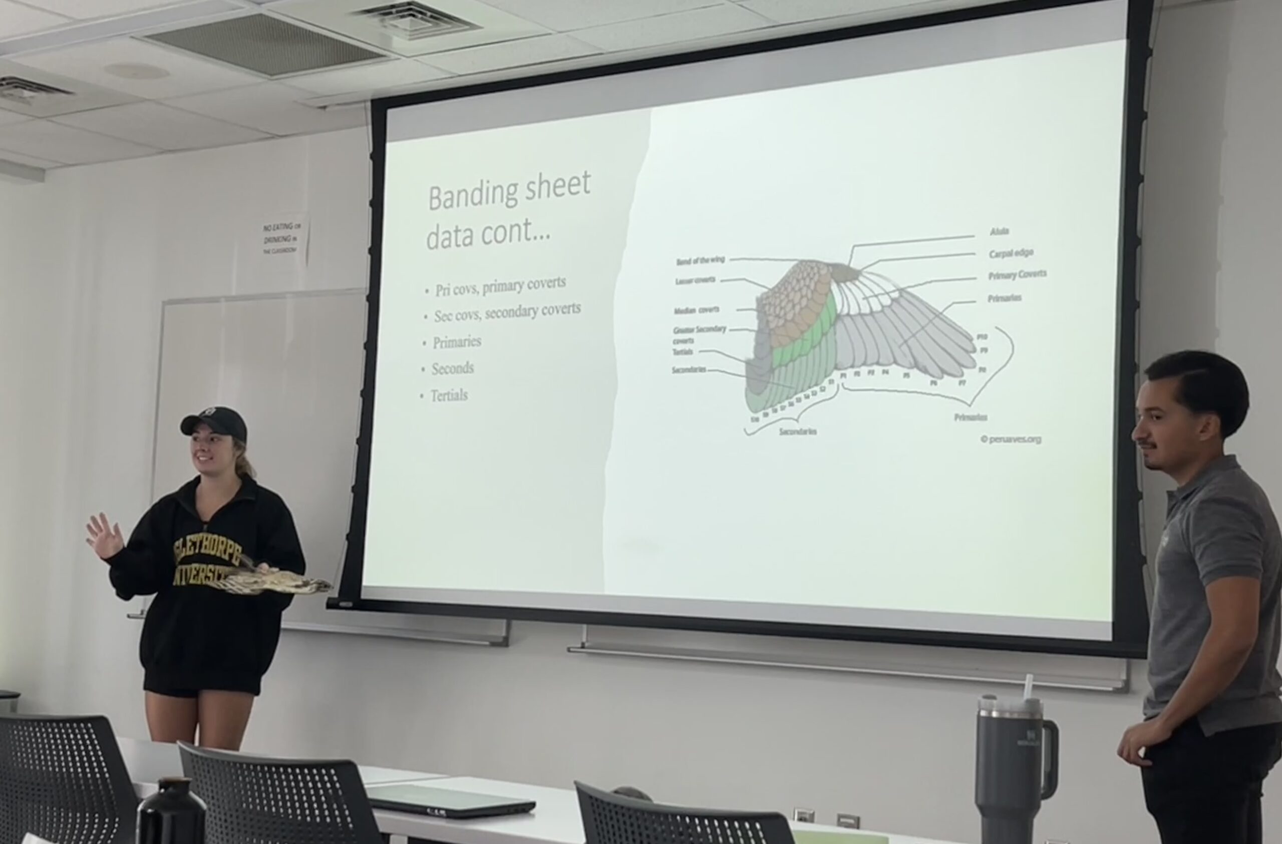 Sydney Trammell '24 and Josh Escobar '24 presenting on the anatomy of a bird's wing.