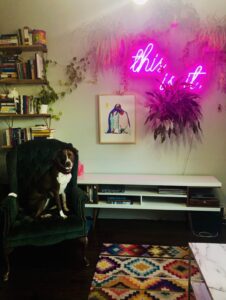 Scout sitting in Whitney's house.