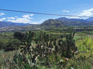 The Valle del Chota in northern Ecuador.