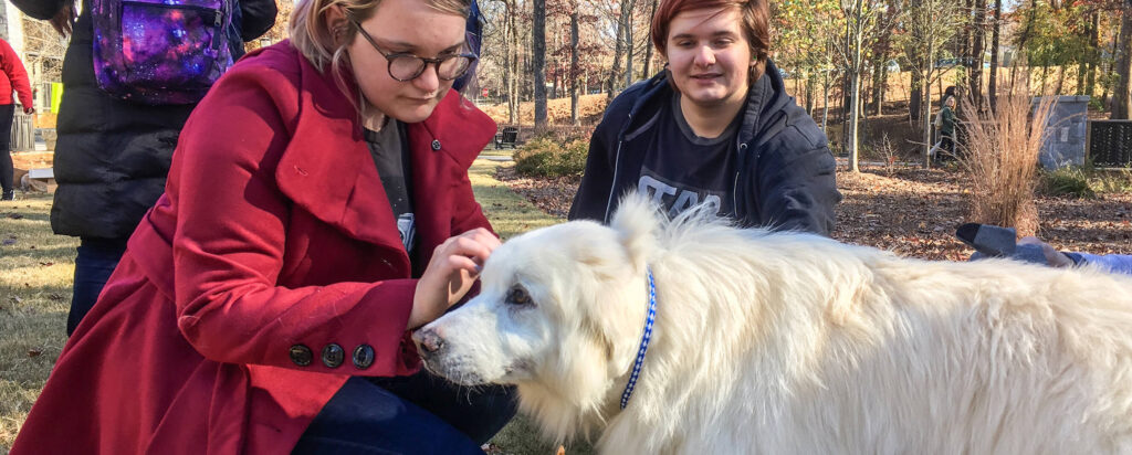 Two students pet a dog on the lawn outside of TLCC