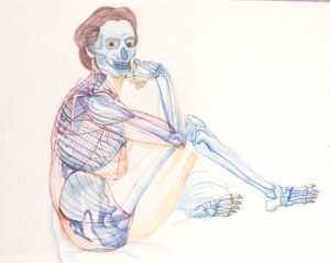 Un dibujo del esqueleto por Abigail Kreisinger.