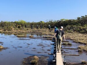 Students walk on a boardwalk through a wetland