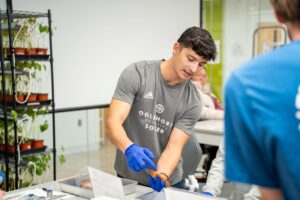 A student explains the different part of the brain using a sheep's brain.