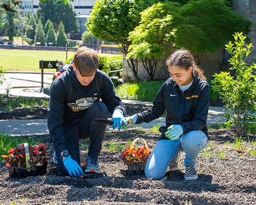 Two students planting flowers.
