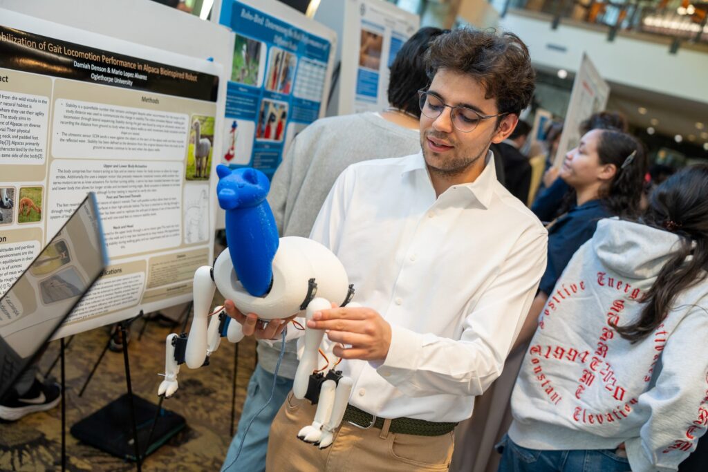 A student holds a robot modeled after an alpaca