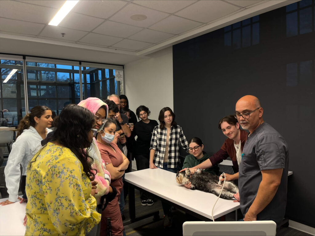 Students gather around a veterinary doctor as he performs an ultrasound on a dog.