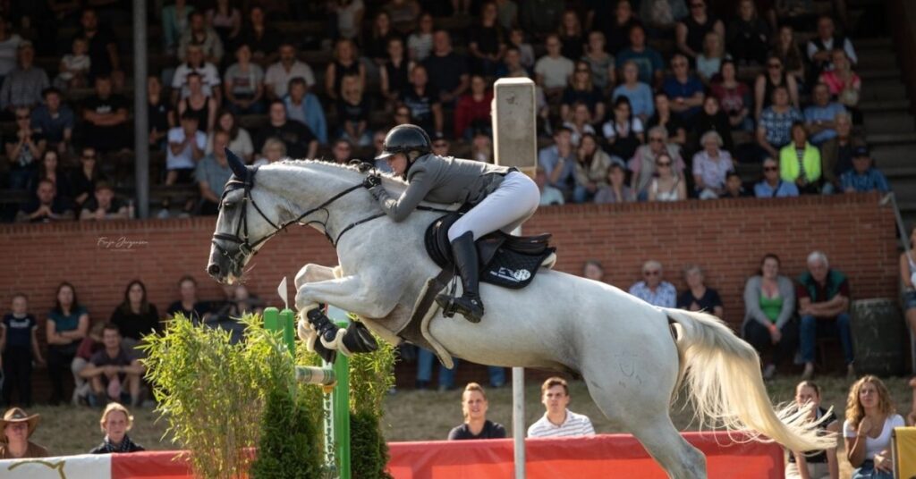 A horse rider jumping over a vault in front of a large crowd